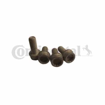 Bolt Set, crankshaft pulley