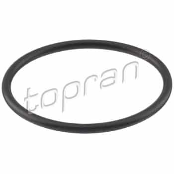 Gasket, thermostat