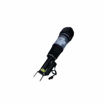 Air Spring Strut