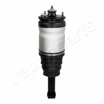 Pneumatic strut