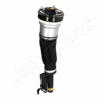 Air Spring Strut