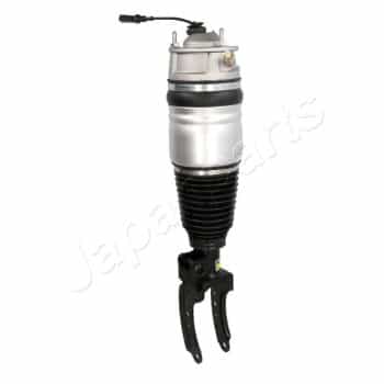 Pneumatic strut