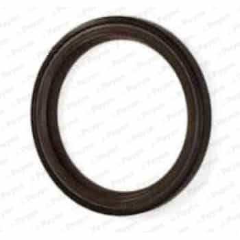 Shaft Seal, camshaft NA5317 Payen