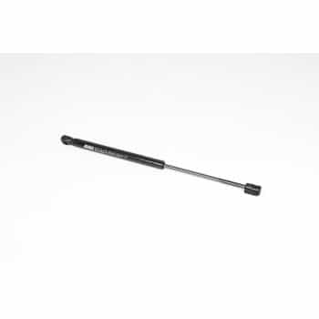 Gas spring, trunk