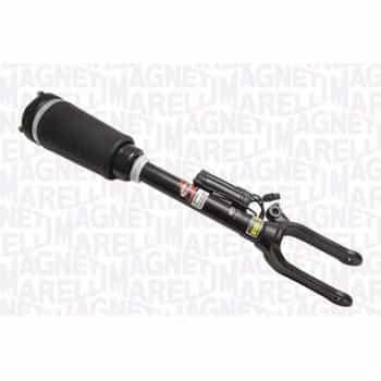 Pneumatic strut