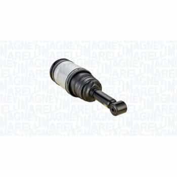 Pneumatic strut