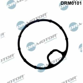 Gasket, oil filter housing