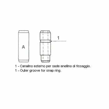 Valve guide