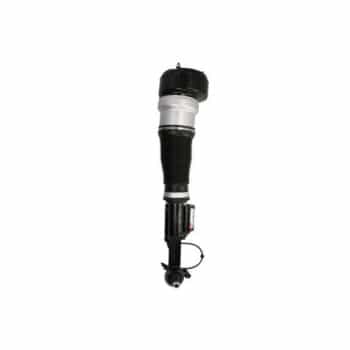 Pneumatic strut