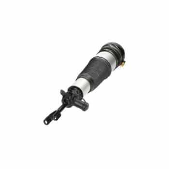 Pneumatic strut