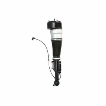Pneumatic strut