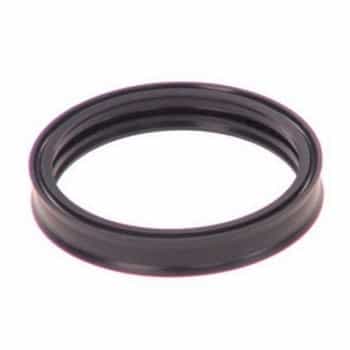 Oil seal, gear