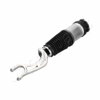 Pneumatic strut
