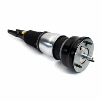 Pneumatic strut