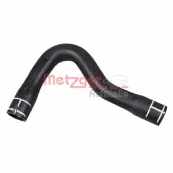 Radiator hose