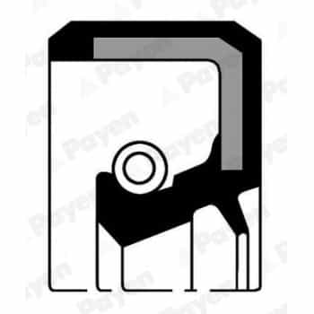 Shaft Seal, camshaft NJ283 Payen