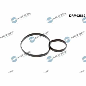 Gasket, oil filter housing
