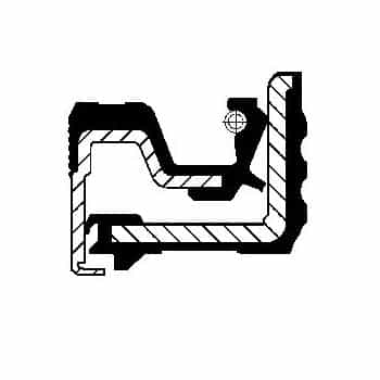 Oil seal, differential