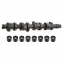Engine camshaft