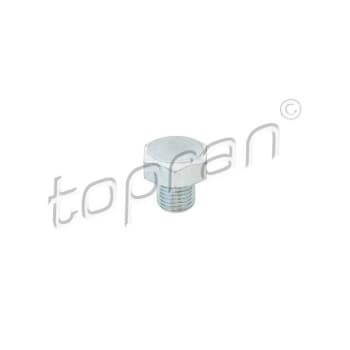 Sealing Plug, oil sump