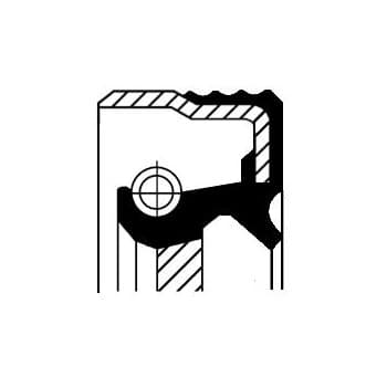 Seal ring, intermediate shaft