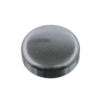 Frost Plug