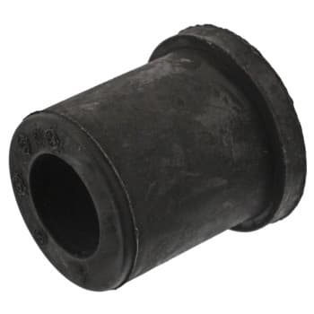 Bush, leaf spring