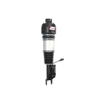 Pneumatic strut