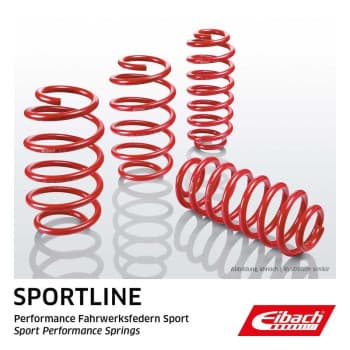 Chassis, springs