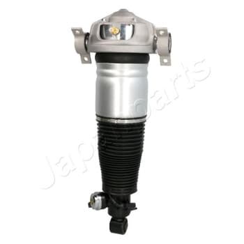 Pneumatic strut