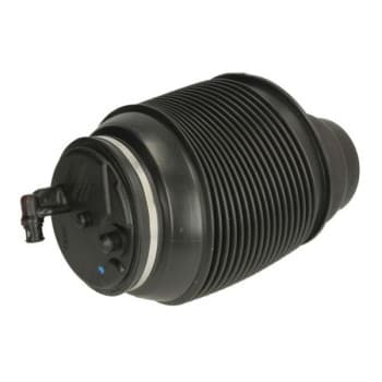 Pneumatic strut