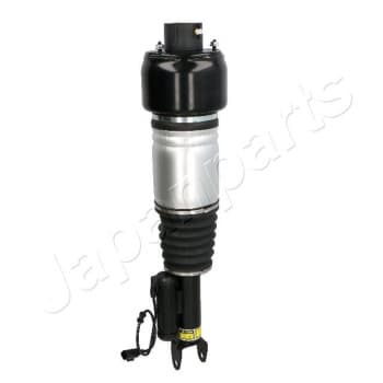 Pneumatic strut