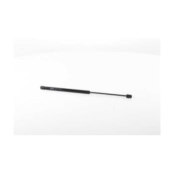 Gas spring, trunk