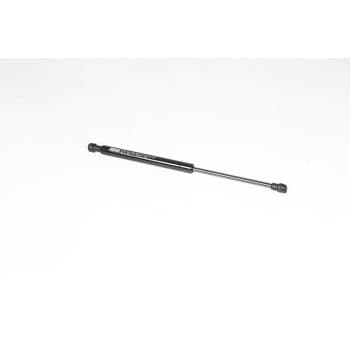 Gas spring, trunk