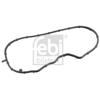 Gasket, timing case