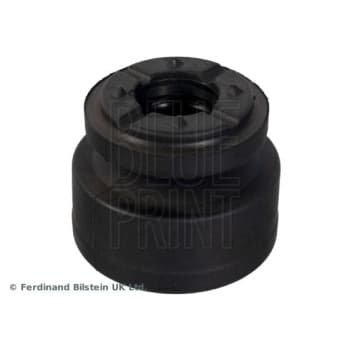 scale ADBP800456 Blue Print