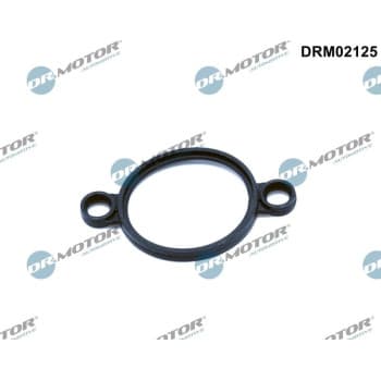 Seal, regulating element (eccentric shaft)