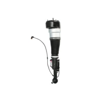 Pneumatic strut