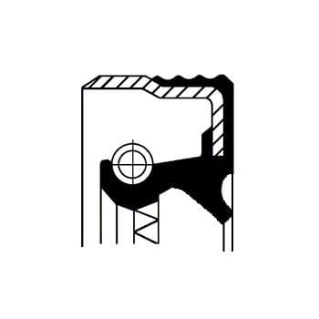 Oil seal, differential