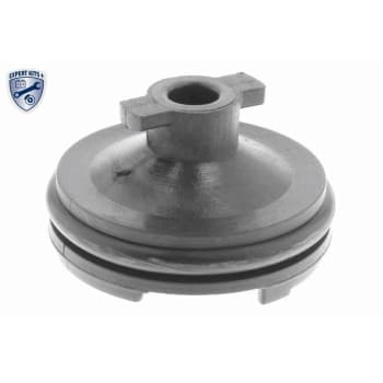 Screw plug, oil pan